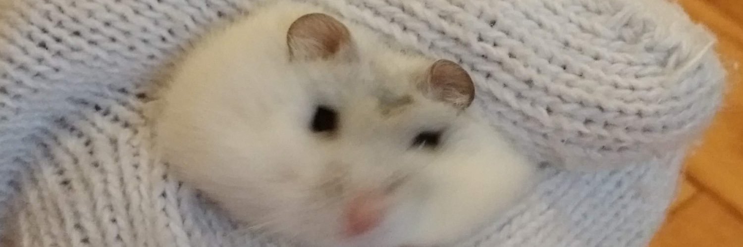 SnowHillriver's profile banner image