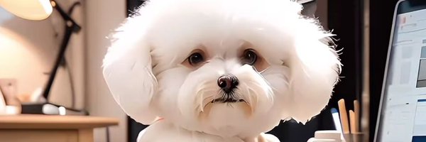 Timely_ke Profile Banner