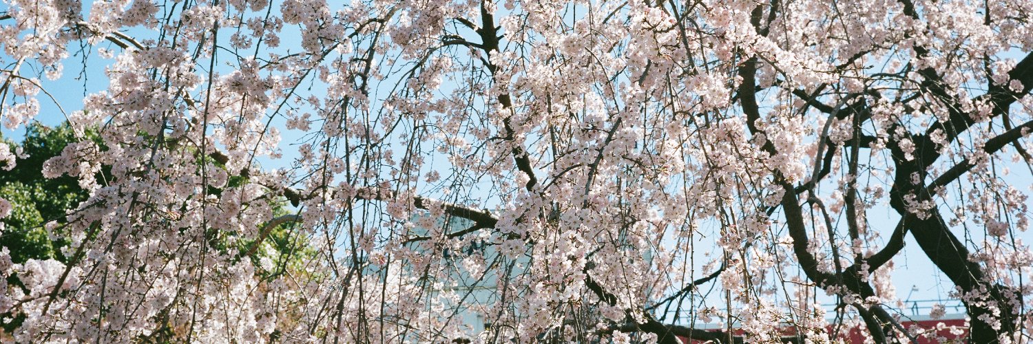 thmla's profile banner image
