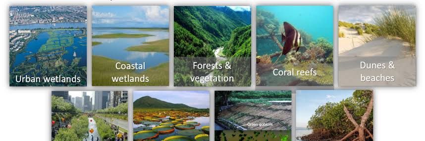 NbS4Climate's profile banner image