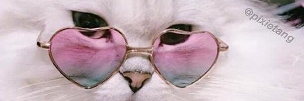 amyffffff's profile banner image