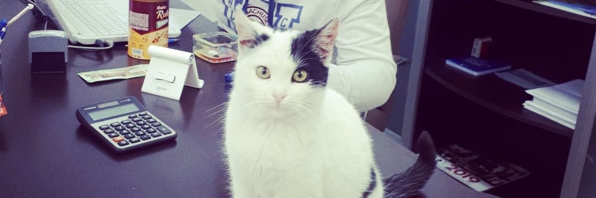 levo_34's profile banner image