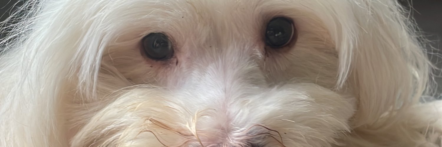 maryequis's profile banner image