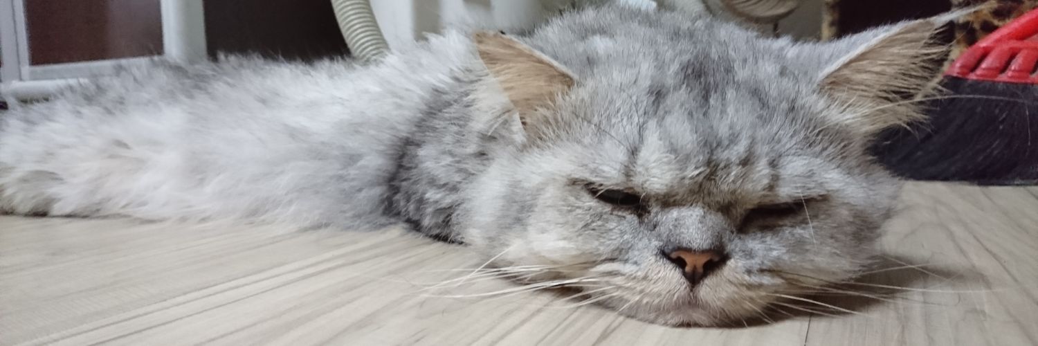QiuDing's profile banner image