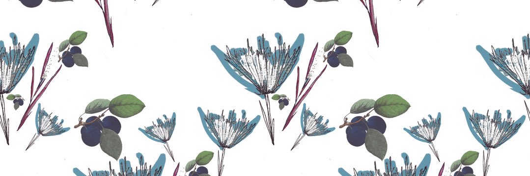 PaulaBasulto's profile banner image
