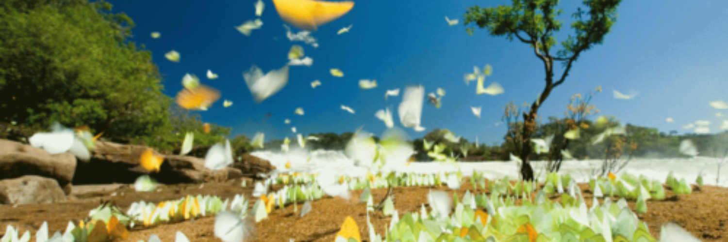 Zariya's profile banner image