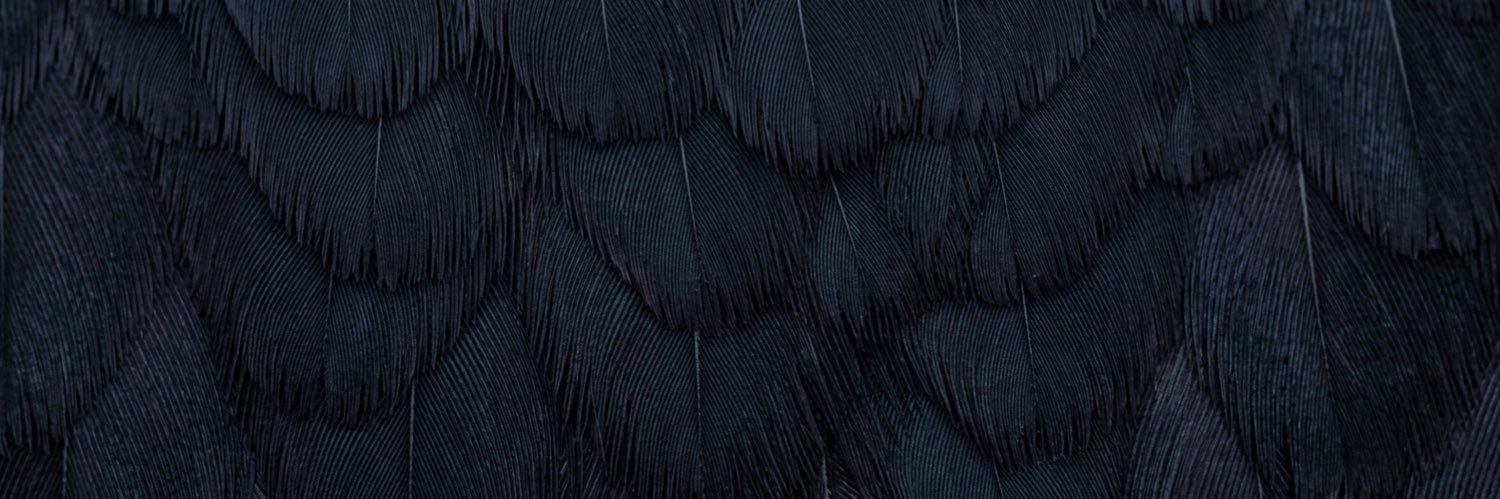 مـَلاك الشـمري banner