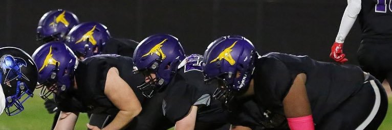 Bryson Echols banner