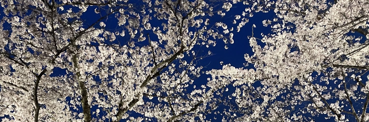 菊池ジョバンニ banner