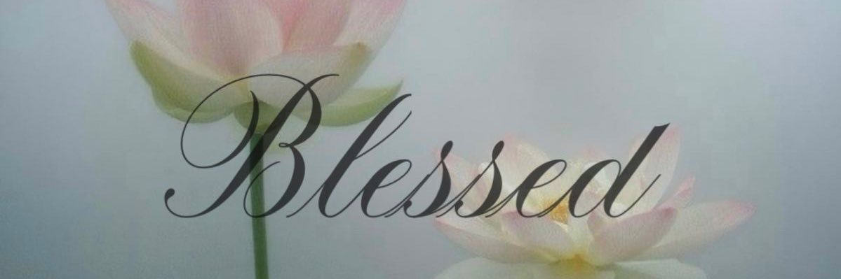 _kittyyylover_ banner