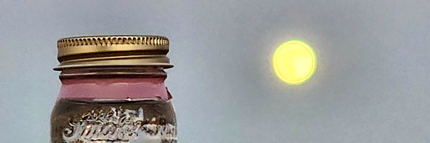 traceymcox's profile banner image