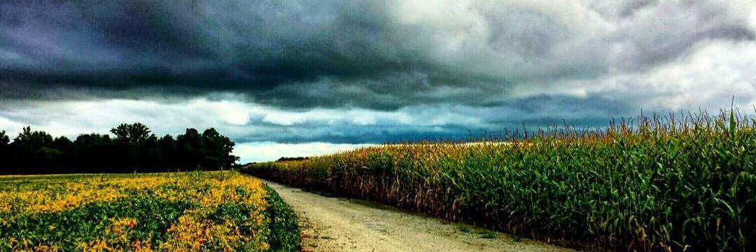 Nikki_Barcus's profile banner image