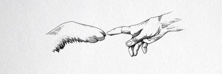 MSolGonzalez_'s profile banner image