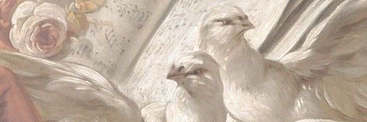 𝐖𝐢𝐥𝐧𝐚𝐫𝐝 banner