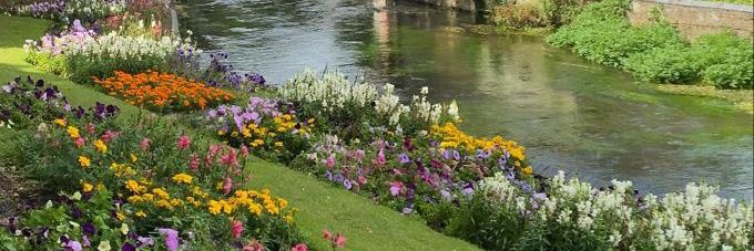 𝑪𝒆𝒓𝒆𝒍𝒊𝒂🍃🌸 banner