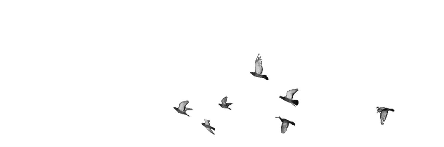 had__Oct's profile banner image
