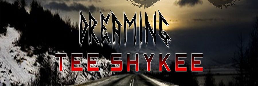 T33SHYKEE's profile banner image