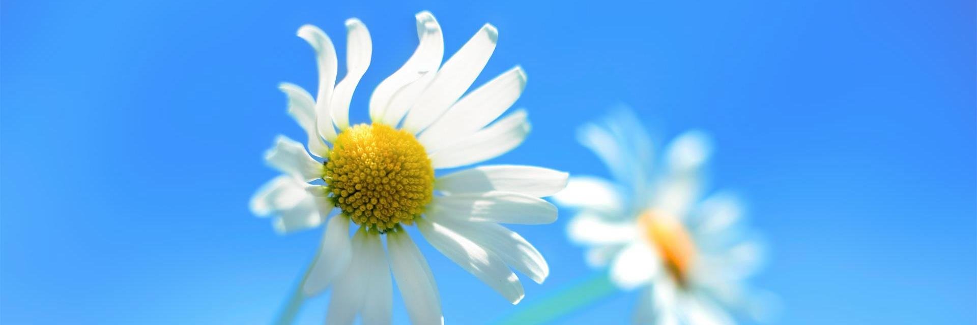 vipul_patel's profile banner image