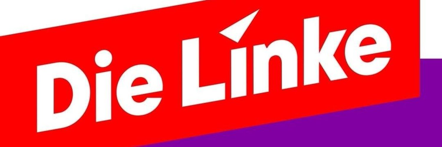Die Linke Ulm/Alb-Donau Profile Banner