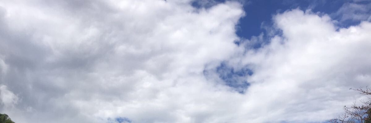 jonathanforster banner