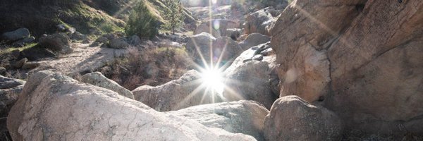 silverarm0r Profile Banner