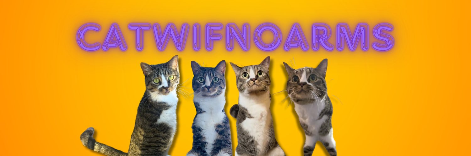 CatWifNoArms's profile banner image