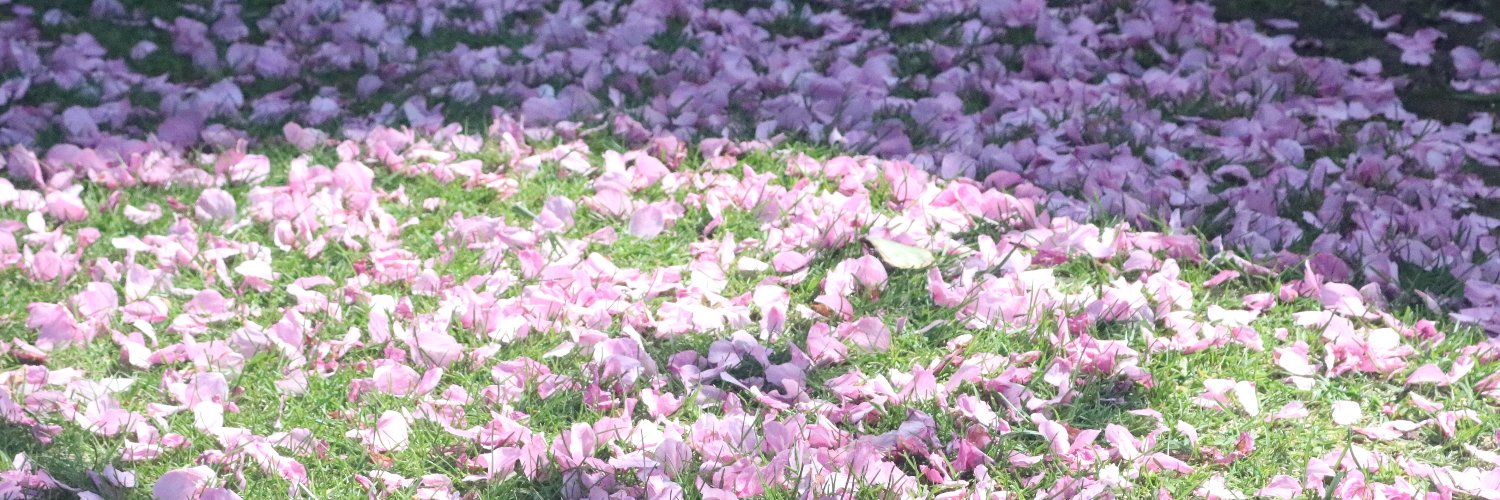 四悸生帰's banner