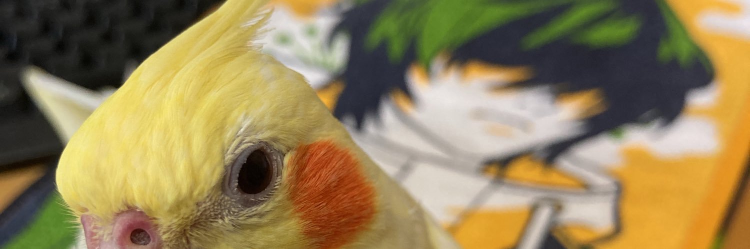 dona_bird's profile banner image