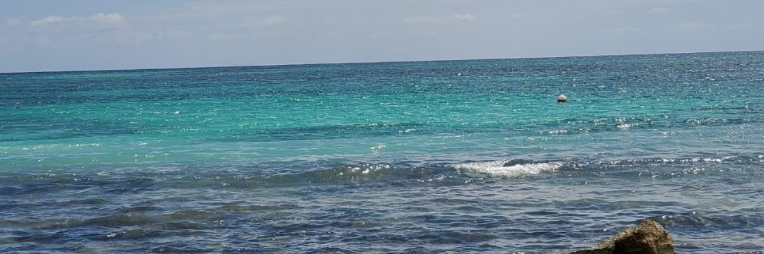 ErikaCarreto7's profile banner image