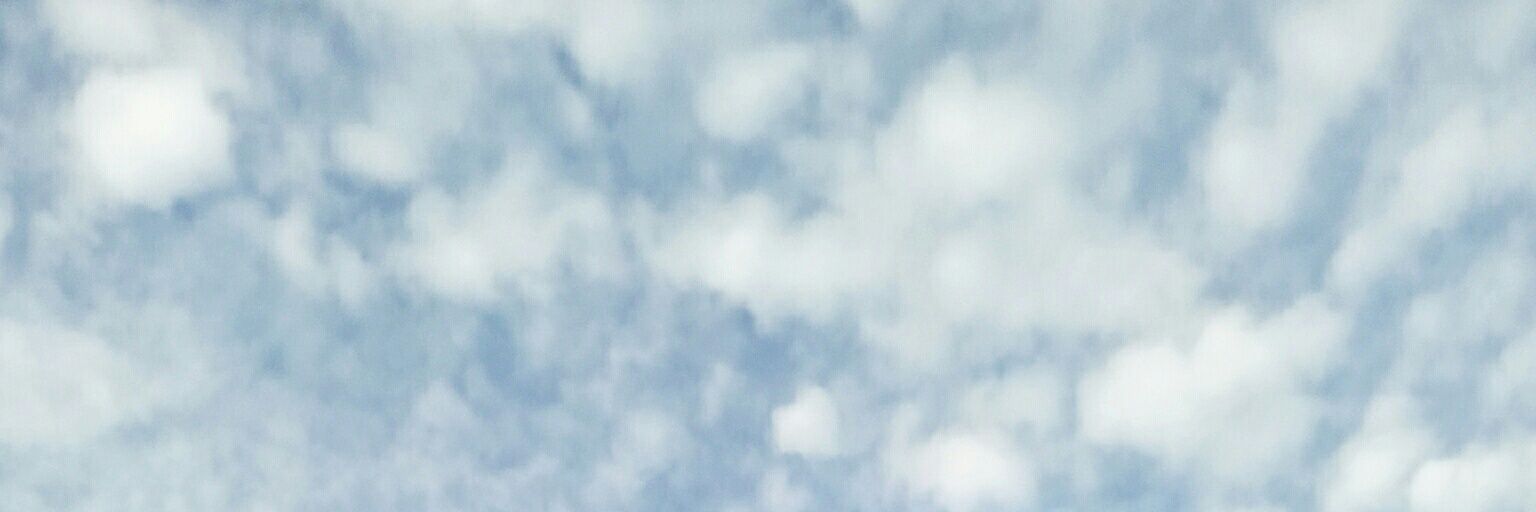 bowbi_11's profile banner image