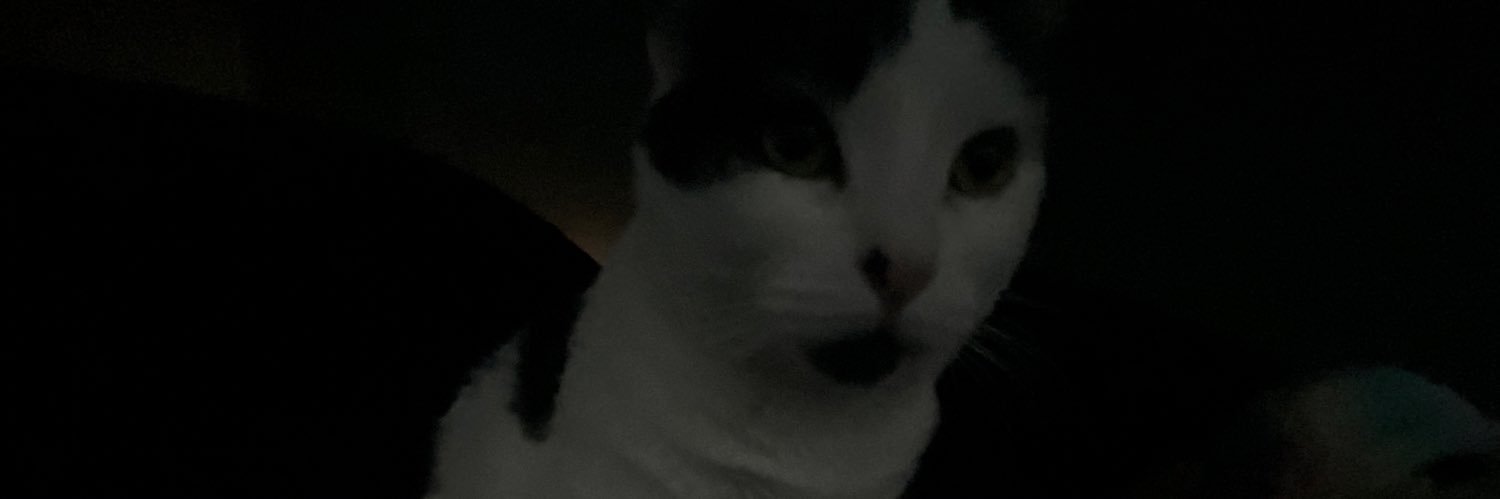 evilrawr's banner