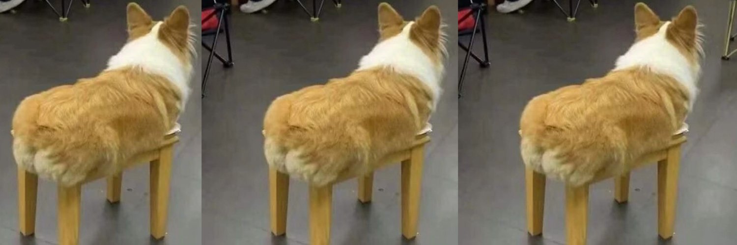 dogwifstool's profile banner image