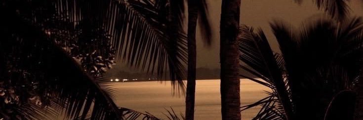 e_ala3's profile banner image