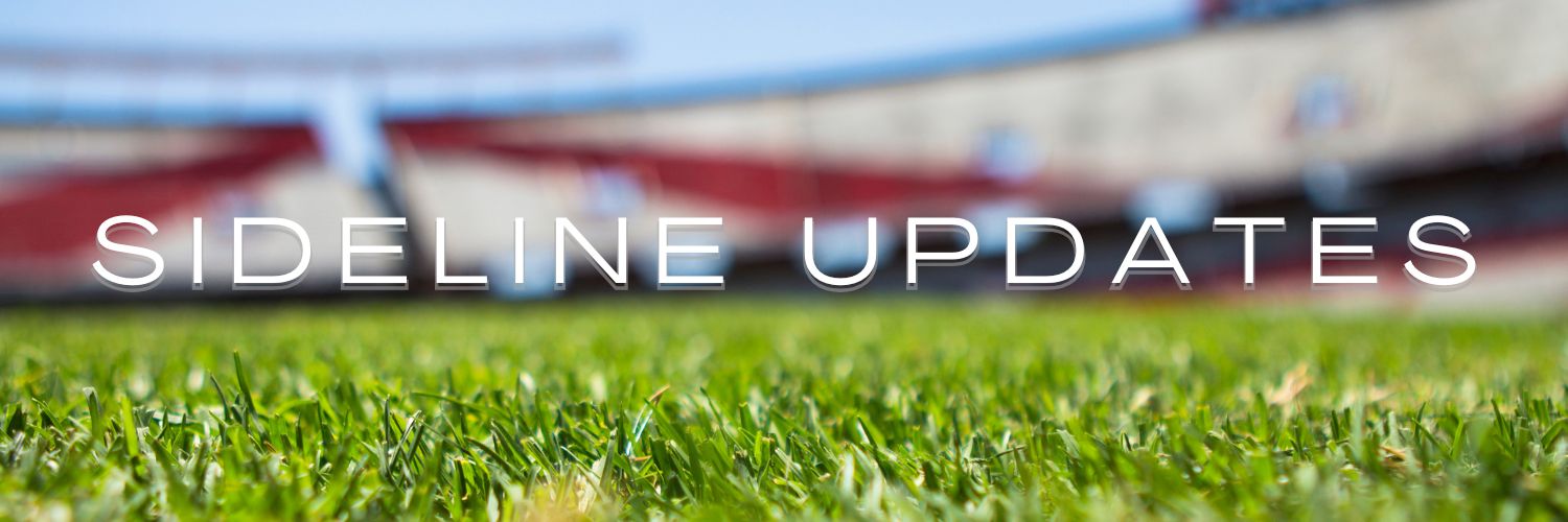 SDL_Updates's profile banner image