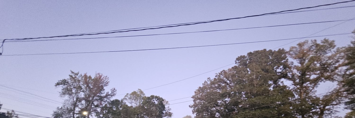 Xavier banner