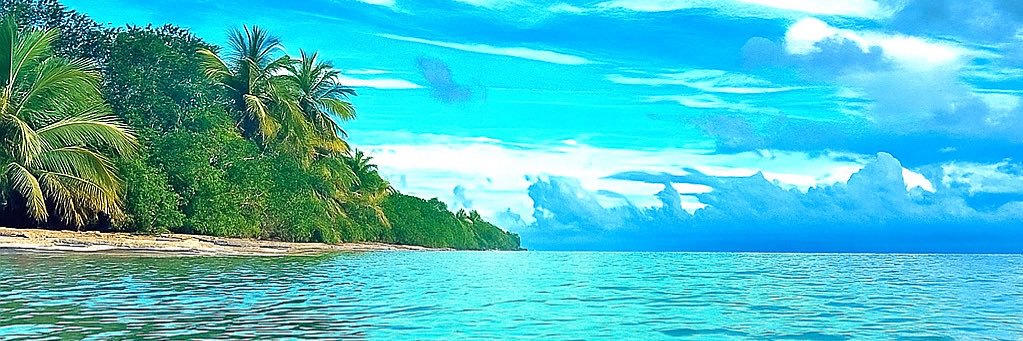 Chrisbait.971 banner