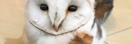 aaronconlecheee's profile banner image