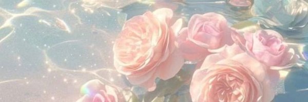 jayssstar22 Profile Banner