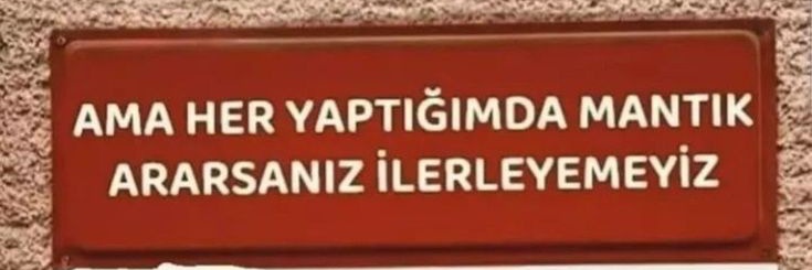 rdysyntanesi's profile banner image