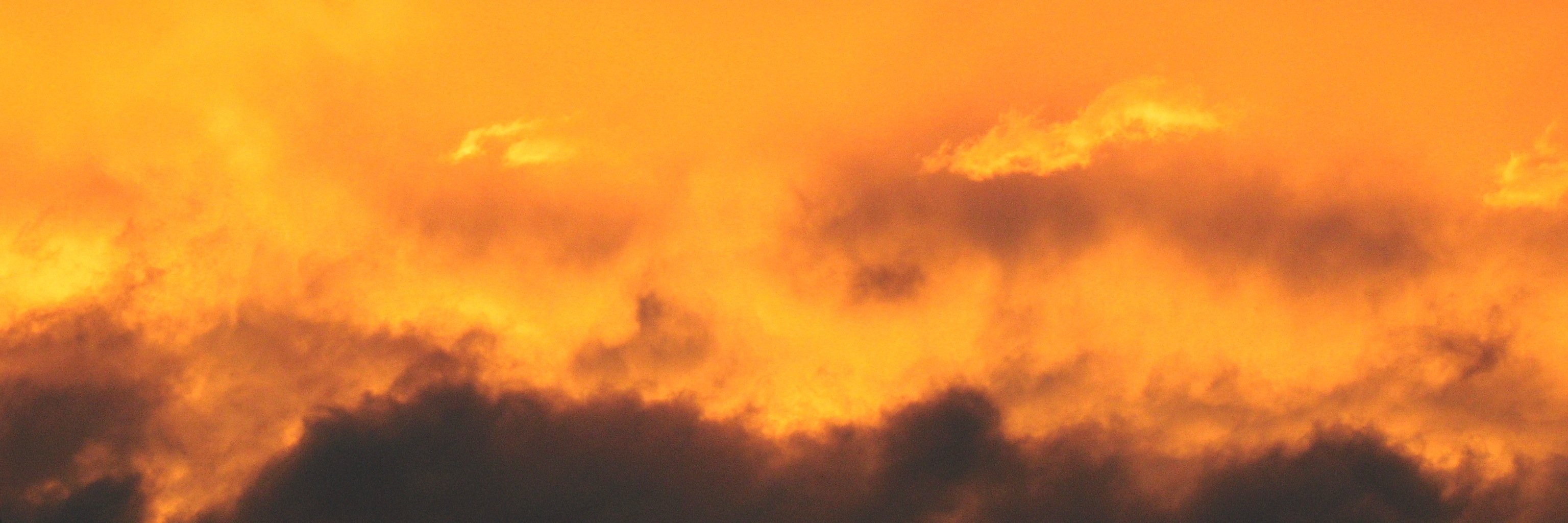 gerlachp's profile banner image