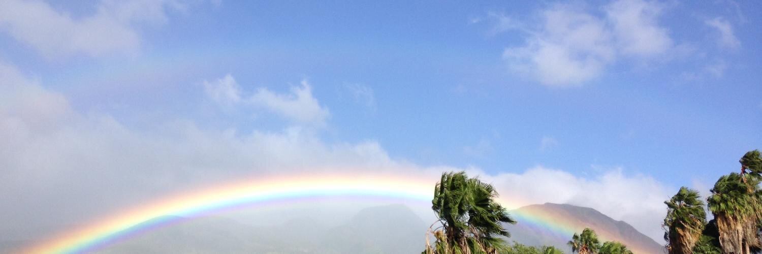 lailie's profile banner image