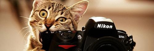 MBlancaflor's profile banner image