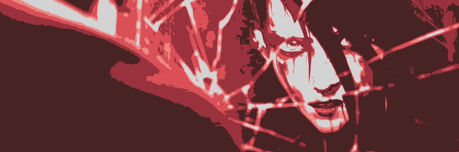 zaunsbrawlerr's profile banner image
