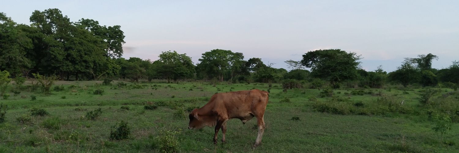 AbogadoDelCampo Profile Banner