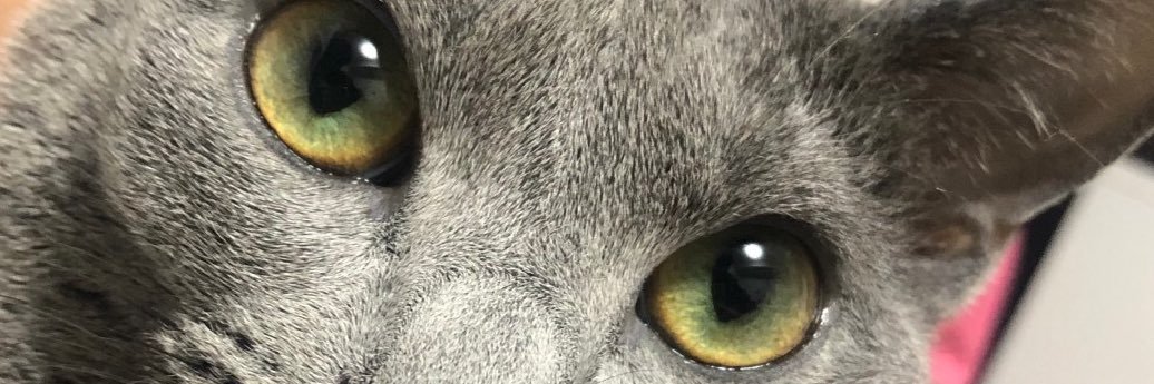 ichinosetating's profile banner image
