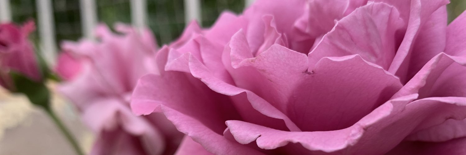 AprilONeil123's profile banner image