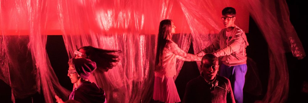 Timothy Trimingham Lee banner