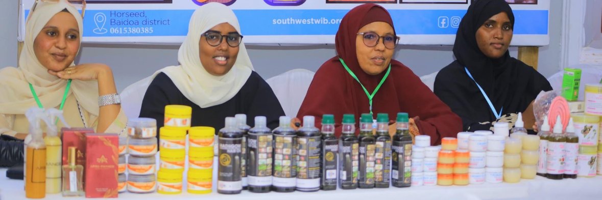 Southwest entrepreneurship forum (SEF) banner