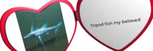 tripodfishstan2 Profile Banner