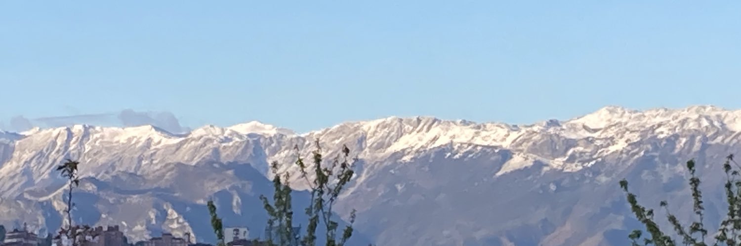 patriciosuarezgil banner